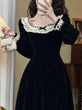 Vintage Lace Neck Velvet Dress