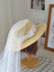 Vintage Straw Hat With Veil