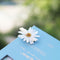 Preserved Daisy Hair Pins