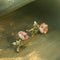 Vintage Enamel Rose Earrings