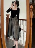 Vintage Velvet Padded Tulle Dress