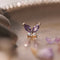 Purple Butterfly CZ Diamond Earrings 3pcs