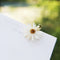 Preserved Daisy Hair Pins