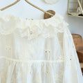 Lace Collar Embroidered Cotton Blouse