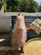 Fairycore 3D Flowers Dress