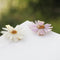 Preserved Daisy Hair Pins