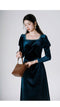 Vintage Velvet Dress