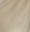 Beige Embroidered Pleated Dress