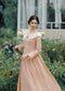 Antique Elegant Dress