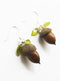 Real Acorn Earrings with Leaves - The Cottagecore