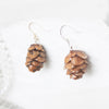 Real Pine Cone Earrings