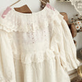 Lace Trim Embroidered Shirt