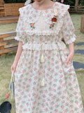 Prairie Lace Trim Floral Print Dress