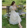 Tulle Embroidered Fairy Dress