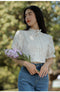 Stand Lace Collar Puffy Sleeve Blouse