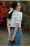 Stand Lace Collar Puffy Sleeve Blouse